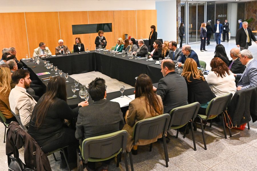 La reforma judicial: positivo encuentro entre Poggi y colegios profesionales