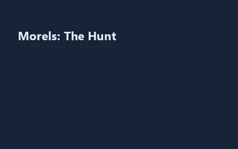 Morels: The Hunt