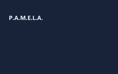 P.A.M.E.L.A.