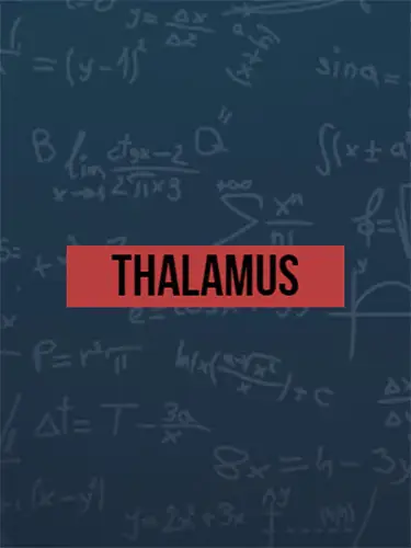 Thalamus