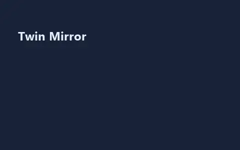 Twin Mirror