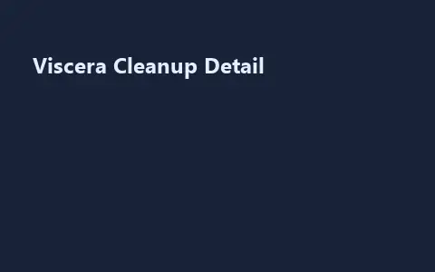 Viscera Cleanup Detail